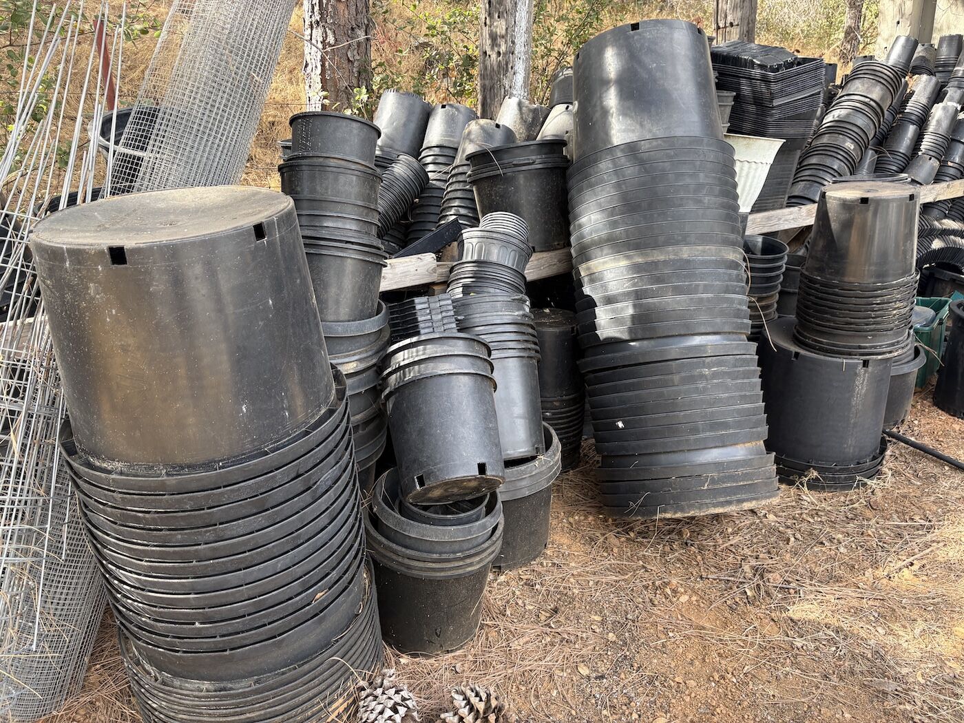 Las mejores macetas y contenedores de cultivo de cannabis para interior y  exterior, image size:1400x1050