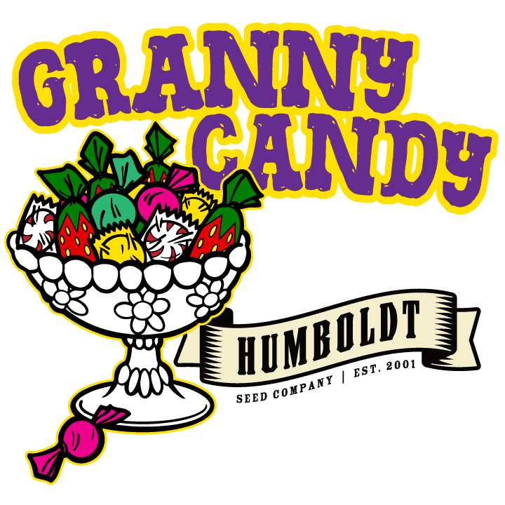 Granny Candy Cannabis Strain Granny Candy Cannabis Strain