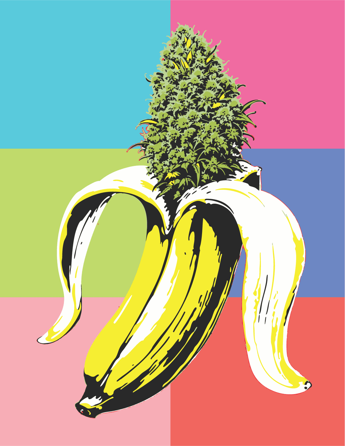 Logotipo da variedade de cannabis Banana OG com cores brilhantes inspiradas em Andy Warhol